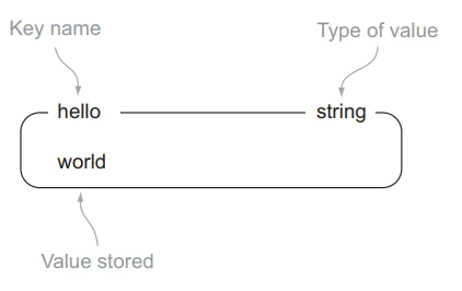  String دیتا تایپی برای ذخیره اطلاعات رشته ای