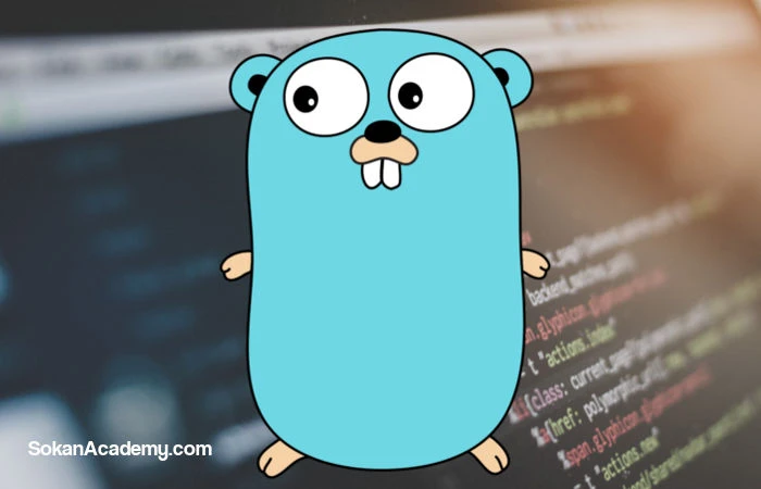 در سال 2017 منتظر این 5 ویژگی جدید زبان برنامه‌نویسی Go باشید!