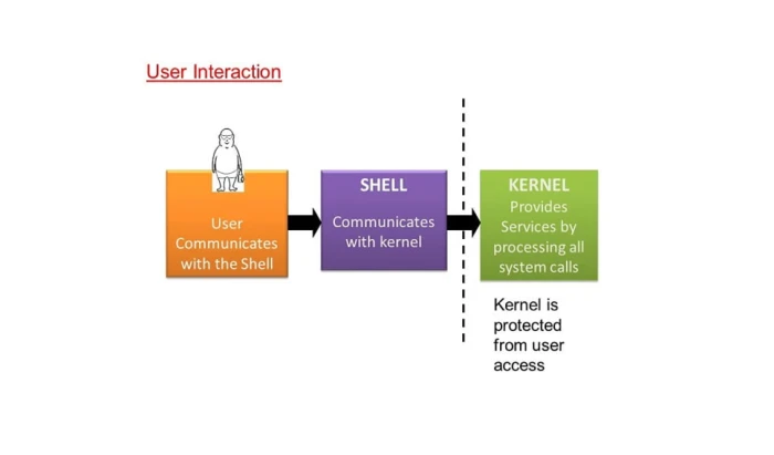 Shell چیست و کاربرد آن در ویندوز و لینوکس