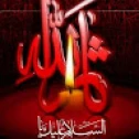 sajad.nouri