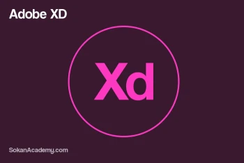 Adobe XD Guide: دورهٔ آموزش رایگان ابزار طراحی تجربهٔ کاربری ادوبی