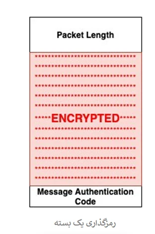 یک بسته‌ی رمزگذاری شده که از طریق پروتکل SSH ارسال می‌شود.