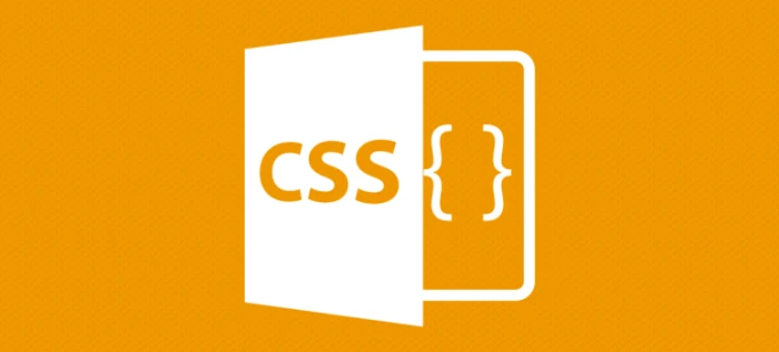 css چیست ؟