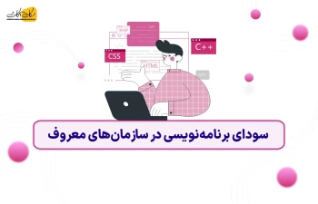 سودای برنامه نویسی در سازمان‌ های معروف