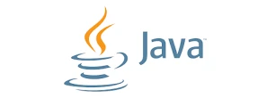 java یکی از پردرآمدترین زبان های برنامه نویسی در 2023